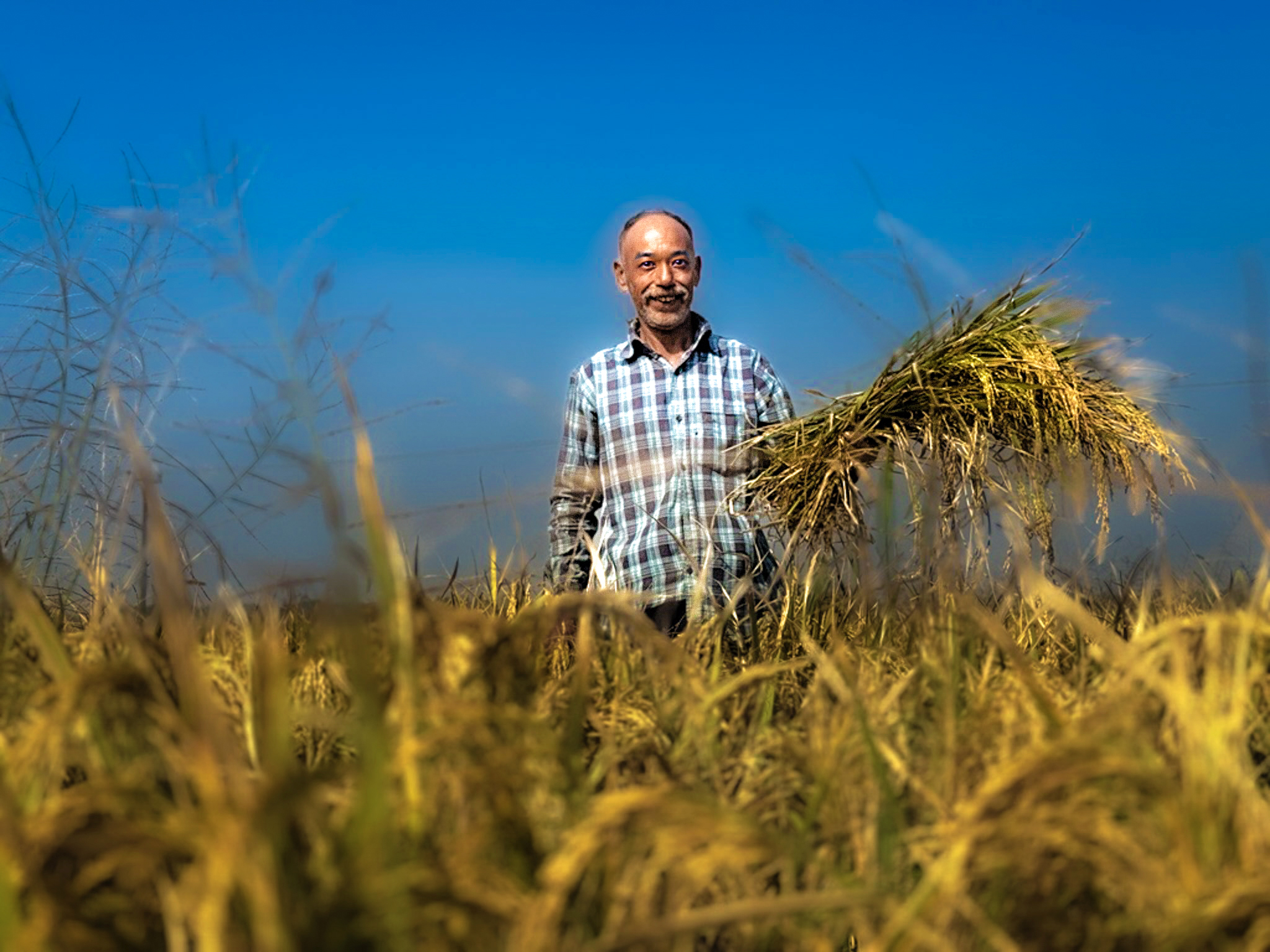 Village Courts: Ensuring Justice for Rural Communities - Success Story